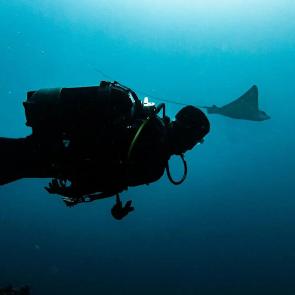 Luxury Dive Adrien's Dream Diving